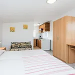Apartament Delic-pejic Vir